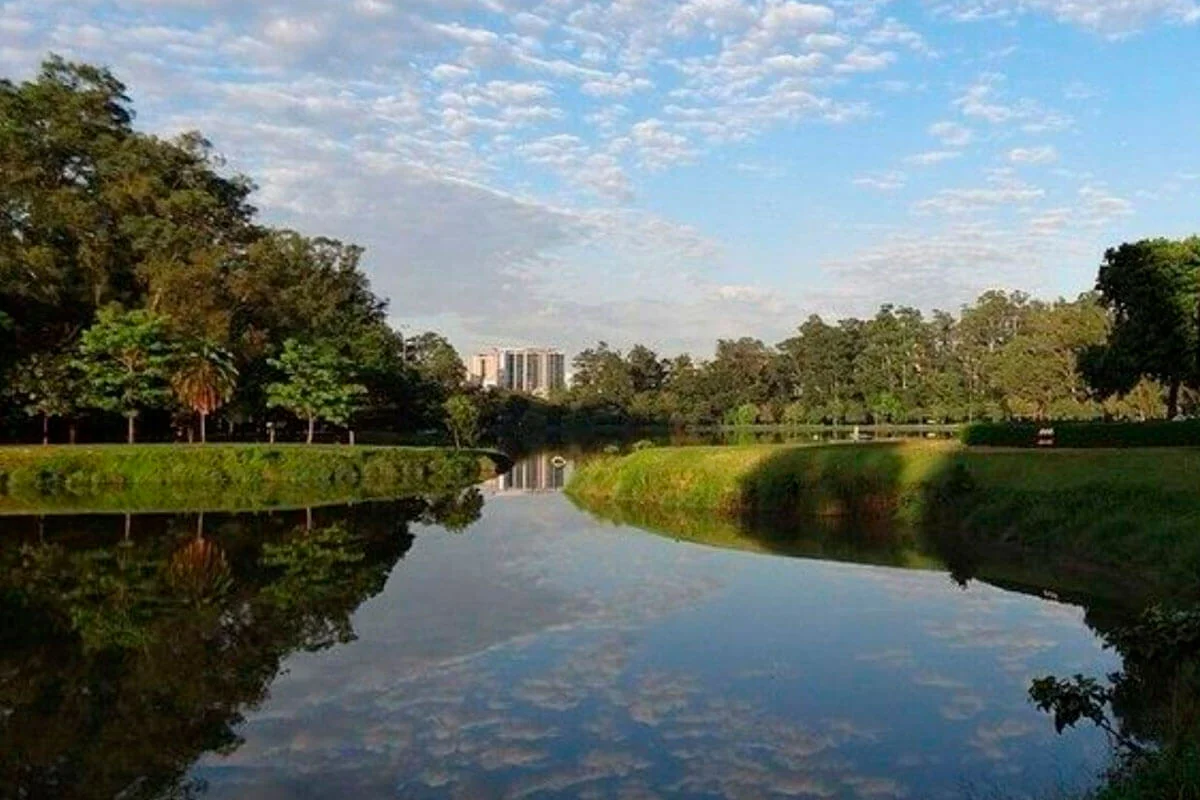Área verde e lago do Parque do Ibirapuera